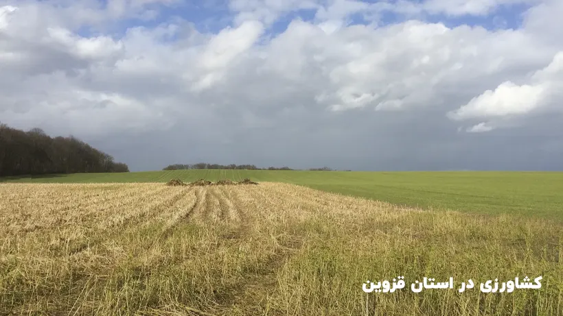 کشاورزی در استان قزوین