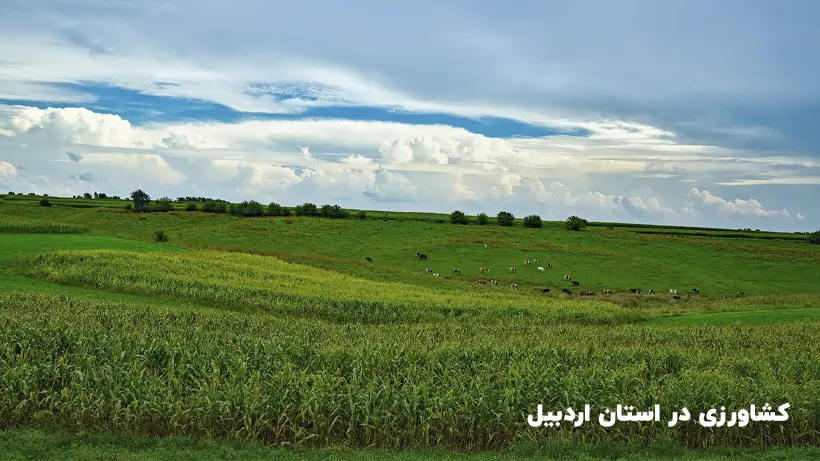 کشاورزی در استان اردبیل