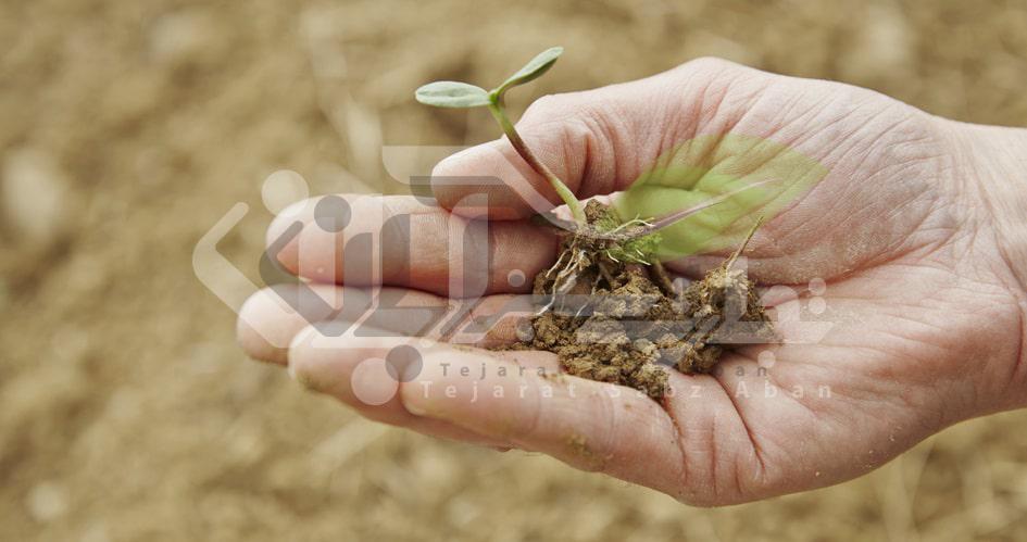 چگونه کوددهی به گیاهان موجب افزایش سلامتی انسان ها می شود؟ 1 کوددهی به خاک