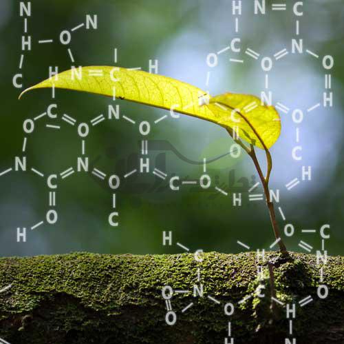 بالا بردن عملکرد گیاه با کود های آلی، معدنی و شیمیایی